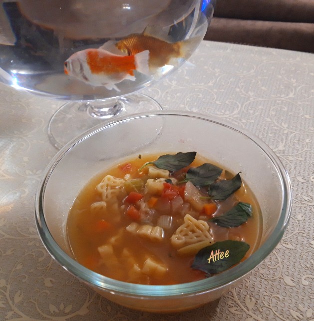 سوپ پاستا با سبزیجات 
