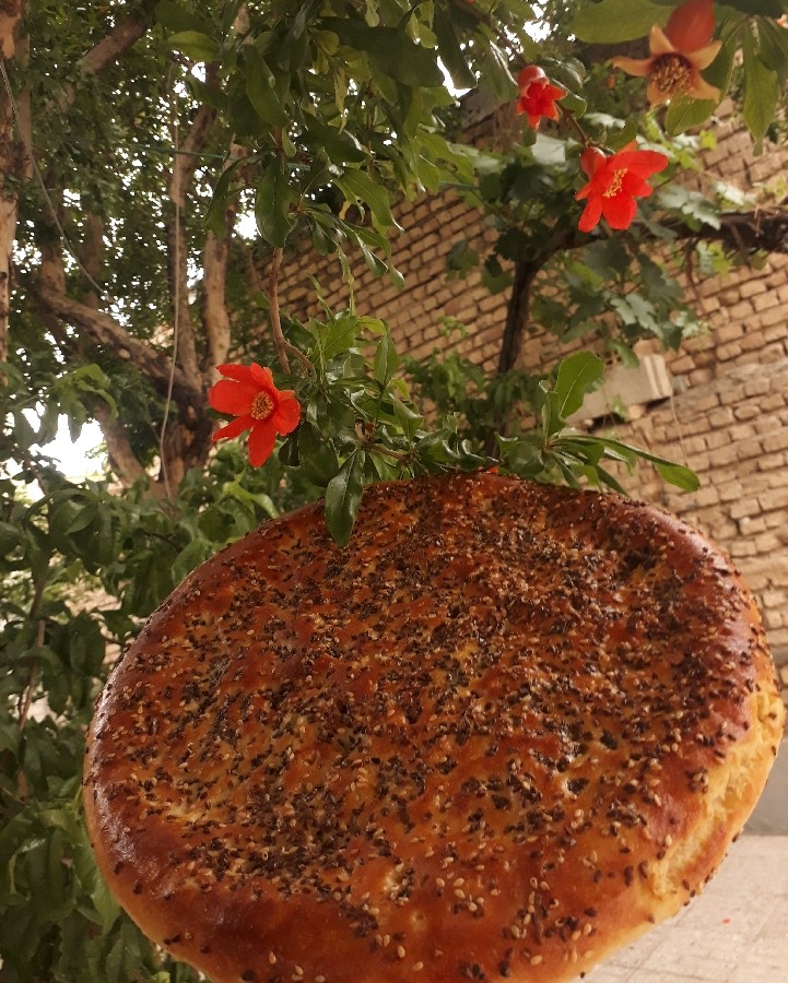 عکس 14●پَتیر(نان افغانستانی)