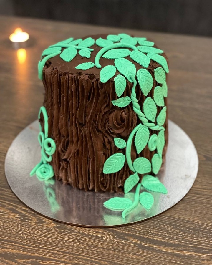 عکس کیک تنه درختی
