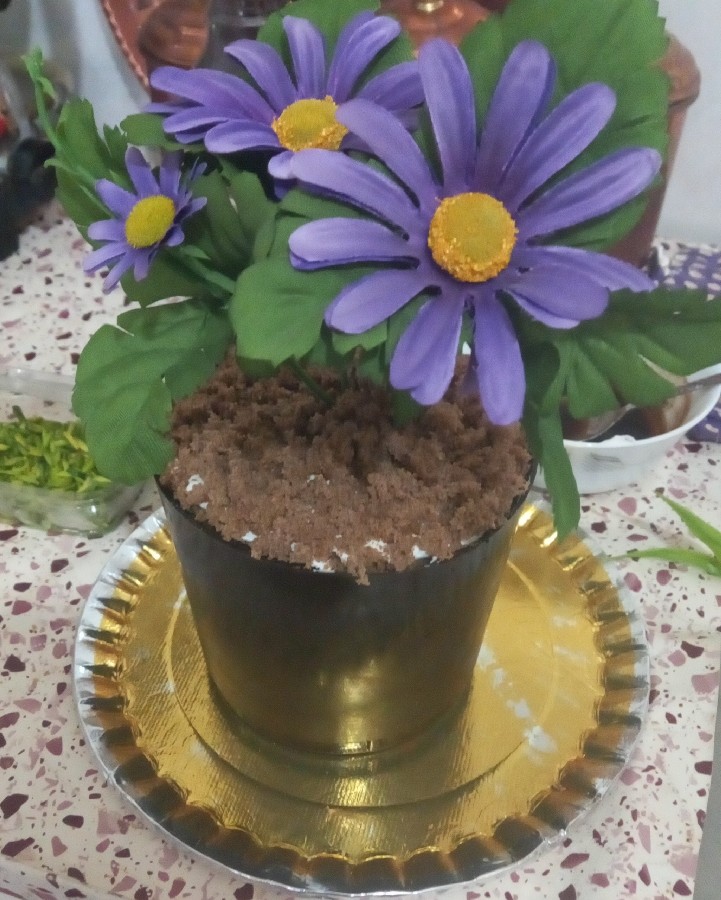 عکس کیک گلدان