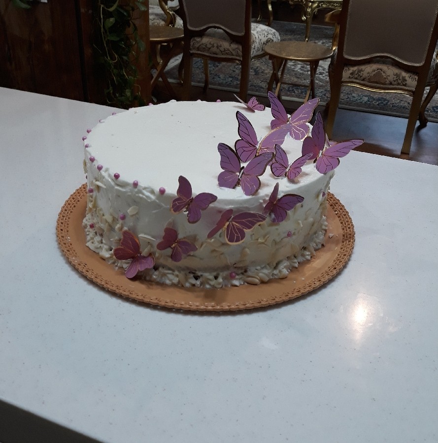 عکس کیک پروانه ای گرد دوطعم .کاکائویی و وانیلی. 