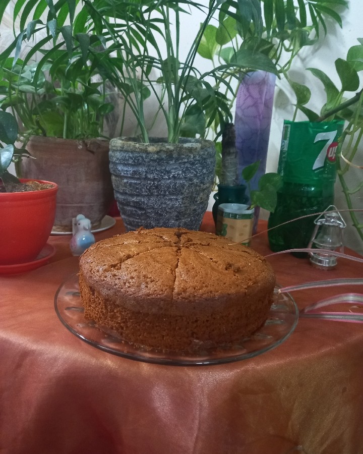 عکس کیک شیره با دستور خانم آقای نوری 