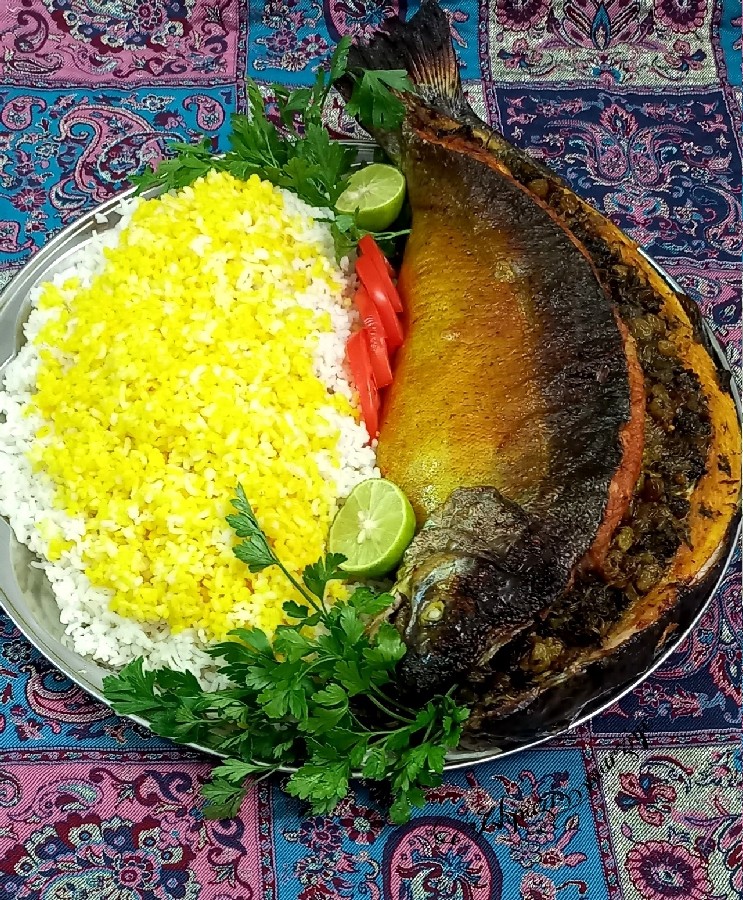 عکس ماهی شکم پر جنوبی