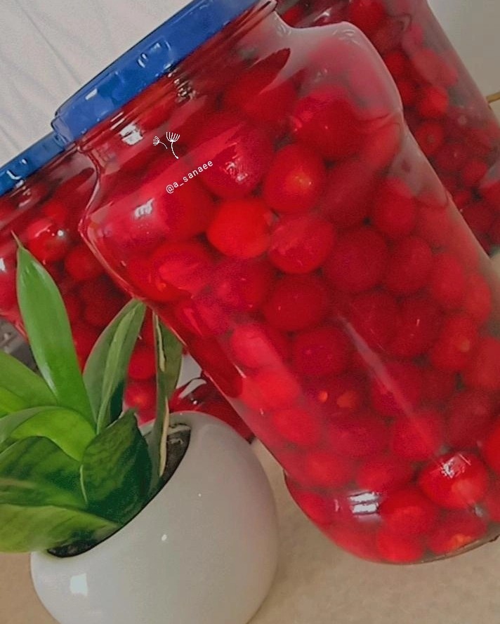 ترشی البالو