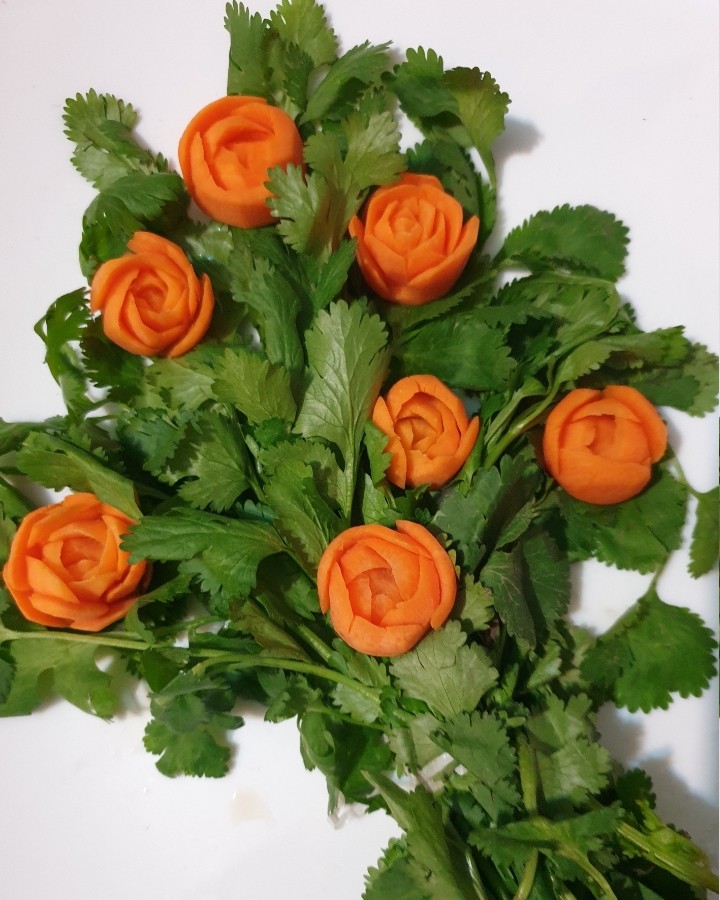 عکس گل هویج