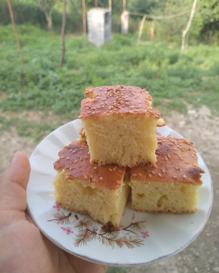عکس کیک ساده ترکی(کیک مادر)