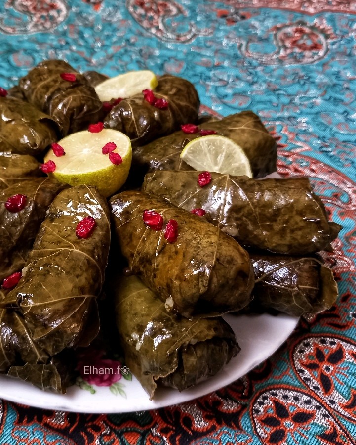 عکس دلمه برگ مو