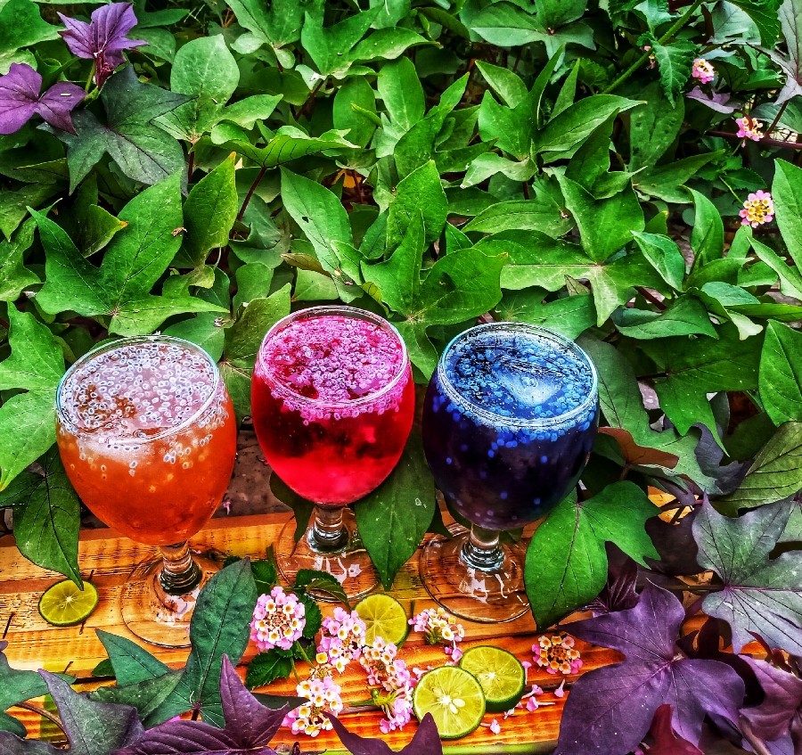 عکس ♡شربت ♡ ورق بزنید عکس ها متفاوته پاپیون قبول کن لطفا