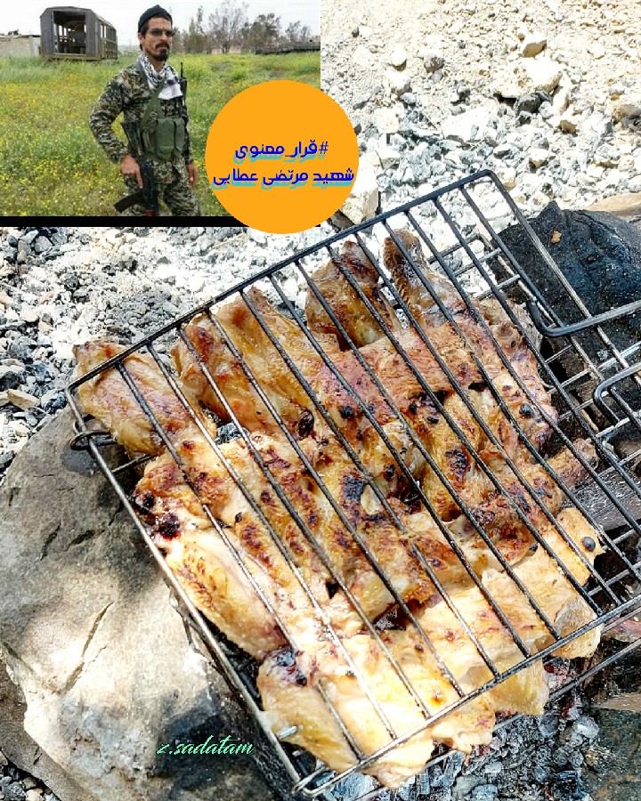 جوجه کباب زغالی