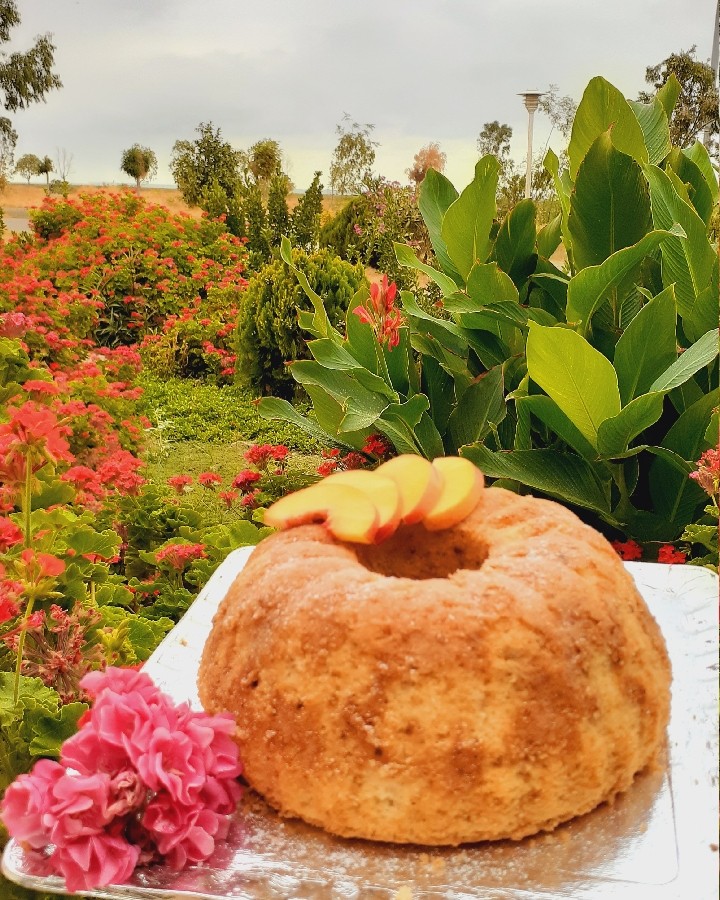 کیک گلاب و گل محمدی 