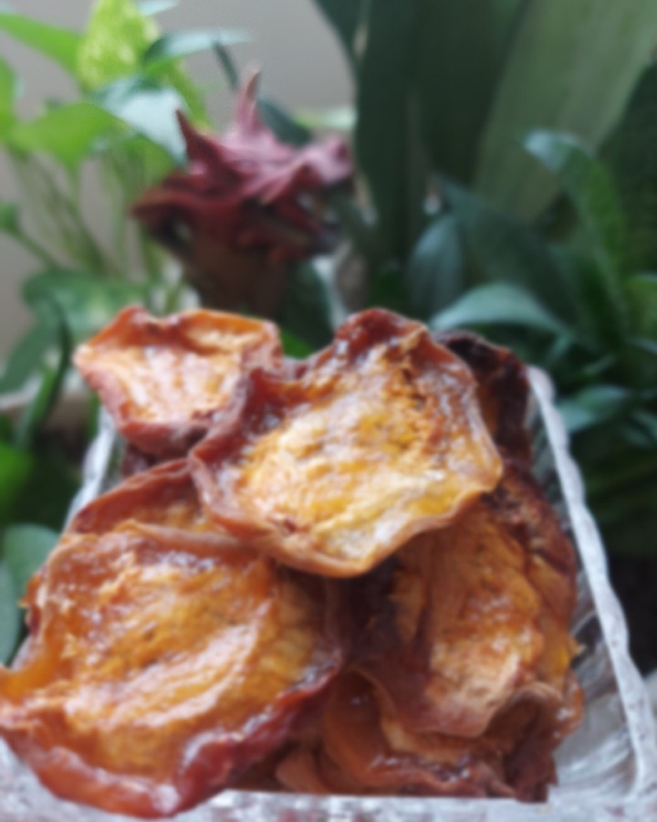 برگه زردآلو