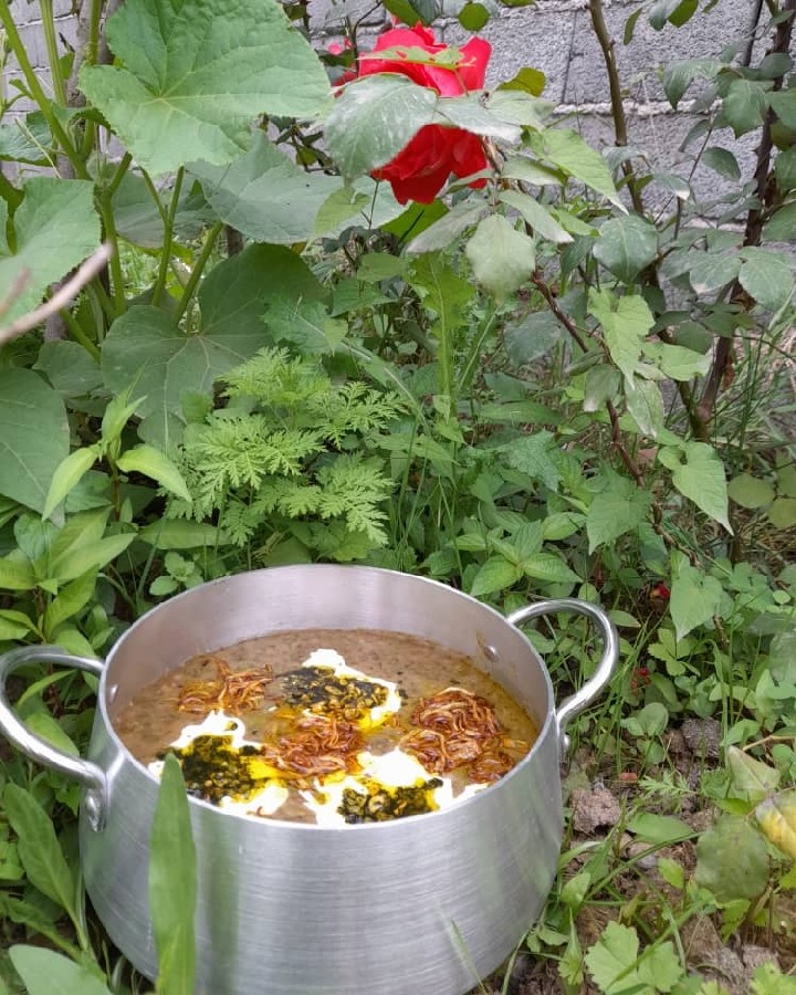 عکس آش رشته
