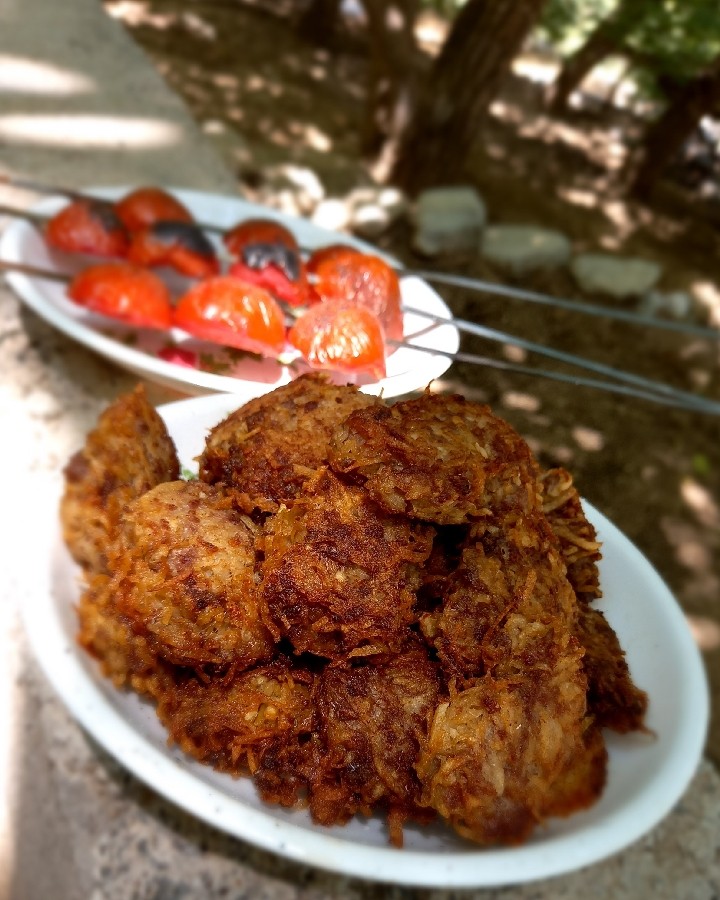 عکس شامی گوشت