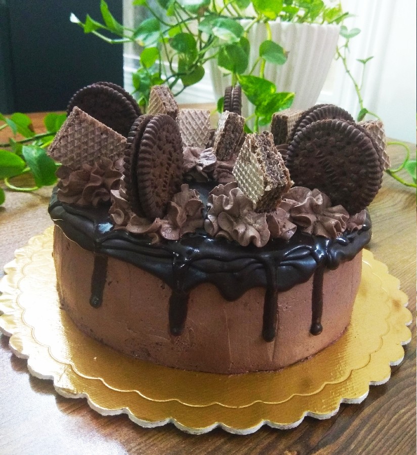 عکس کیک شیفون شکلاتی 