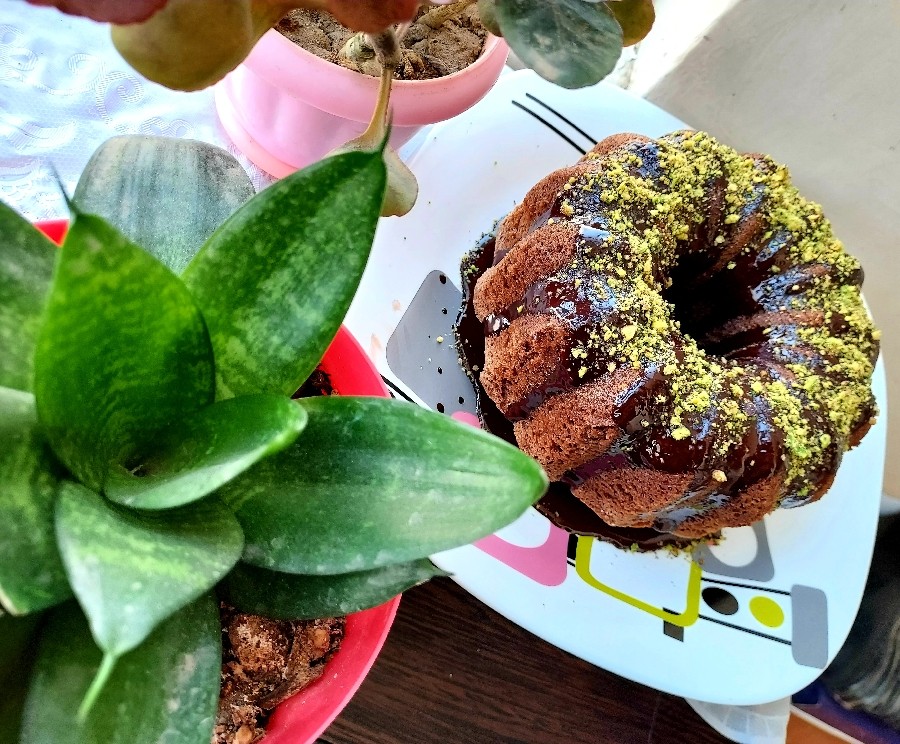 عکس کیک شکلاتی ساده
