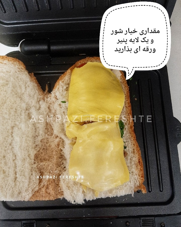 عکس پنینی گوشت و قارچ