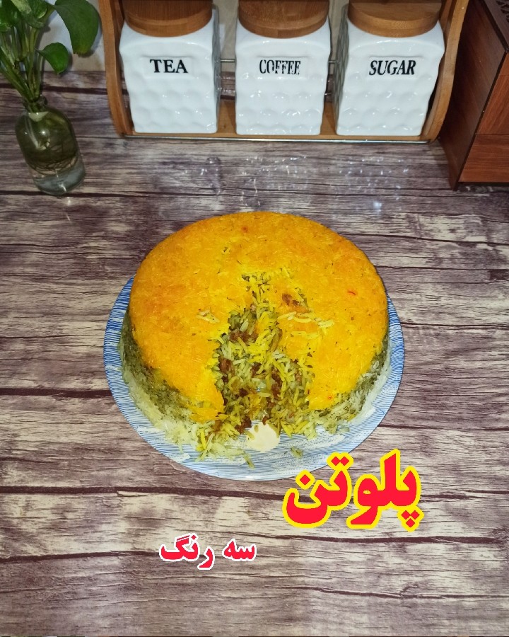 عکس پلوتن ماهی