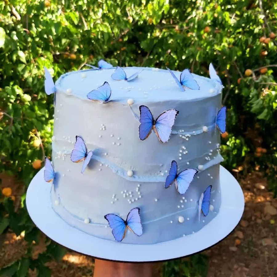 کیک موج دار آبی پروانه ای 