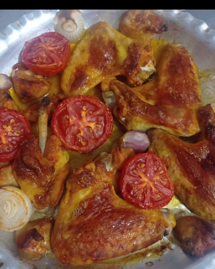 بال مرغ توستری