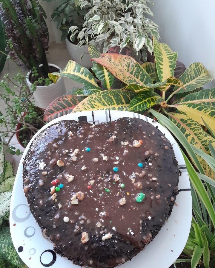 عکس کیک سحر آمیز شکلاتی ونسکافه ای