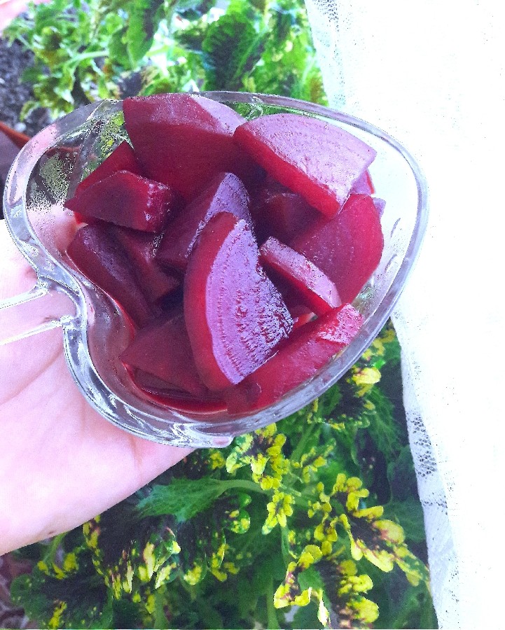 دلبرانه پاییز