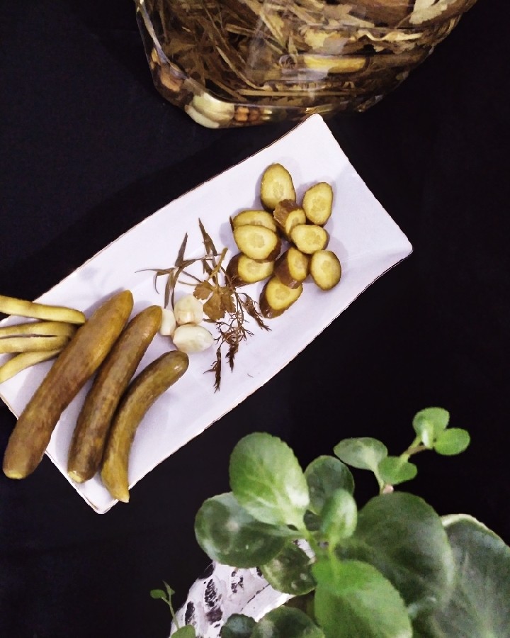 خیارشورخونگی