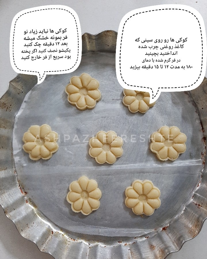 عکس کوکی پرتقالی