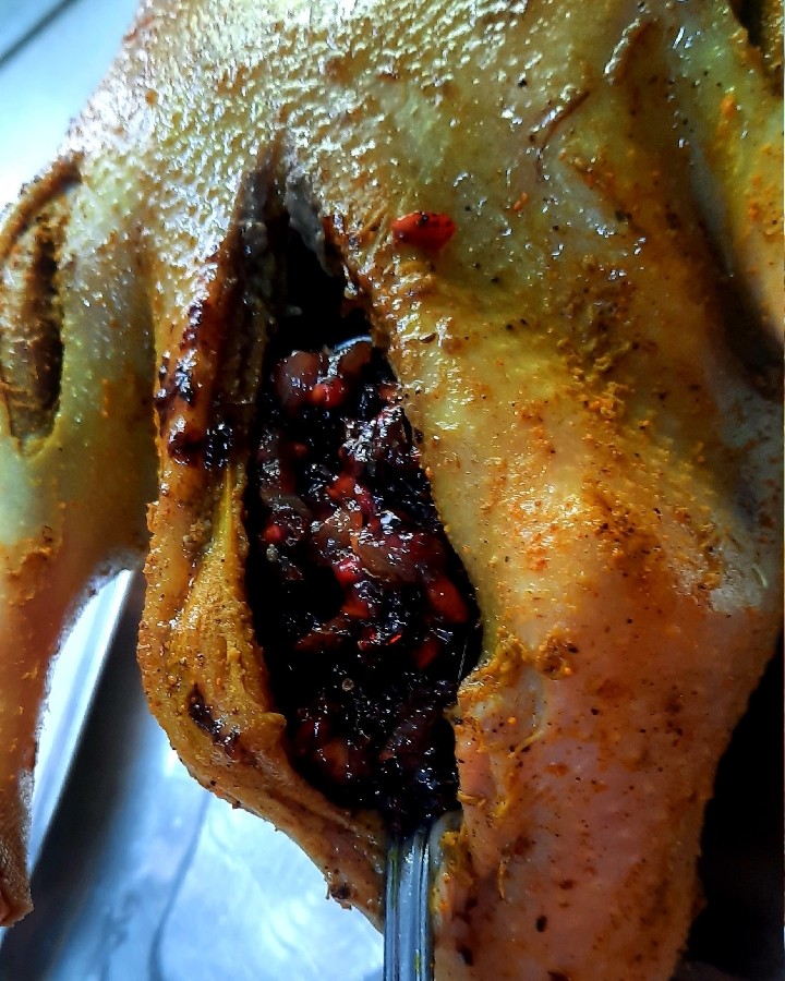 عکس غاز و اردک شکم پرمازندرانی به دوروش