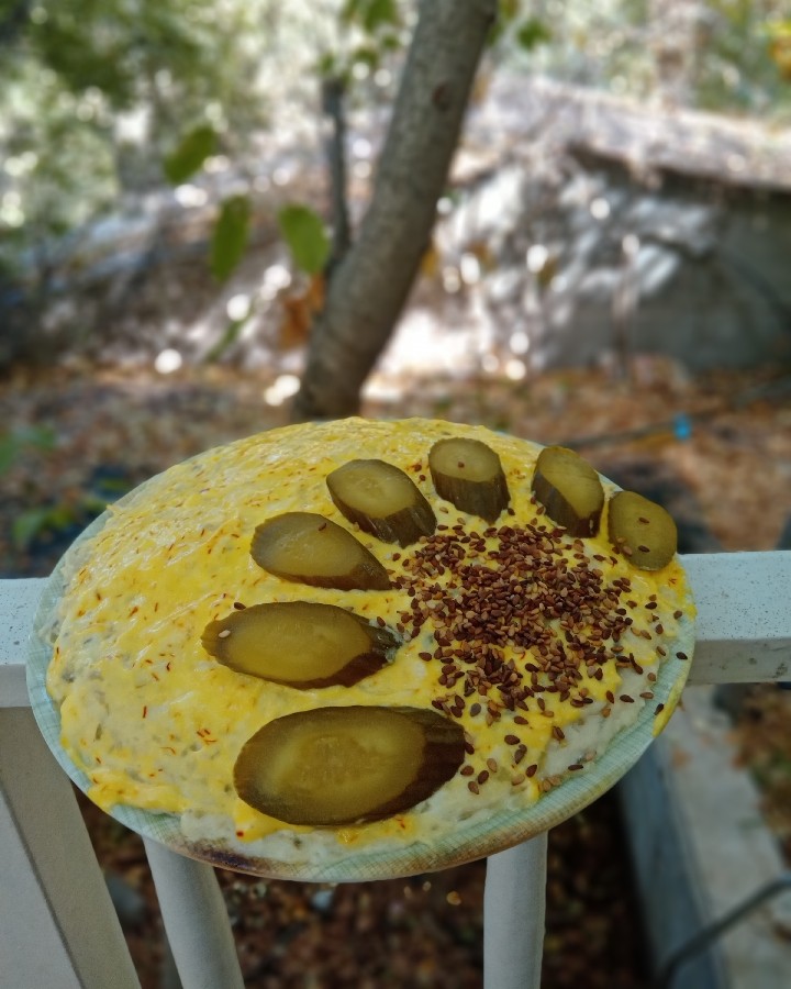 الویه«چرا امیرالمؤمنین حضرت علی از حضرت زهرا دفاع نکرد»