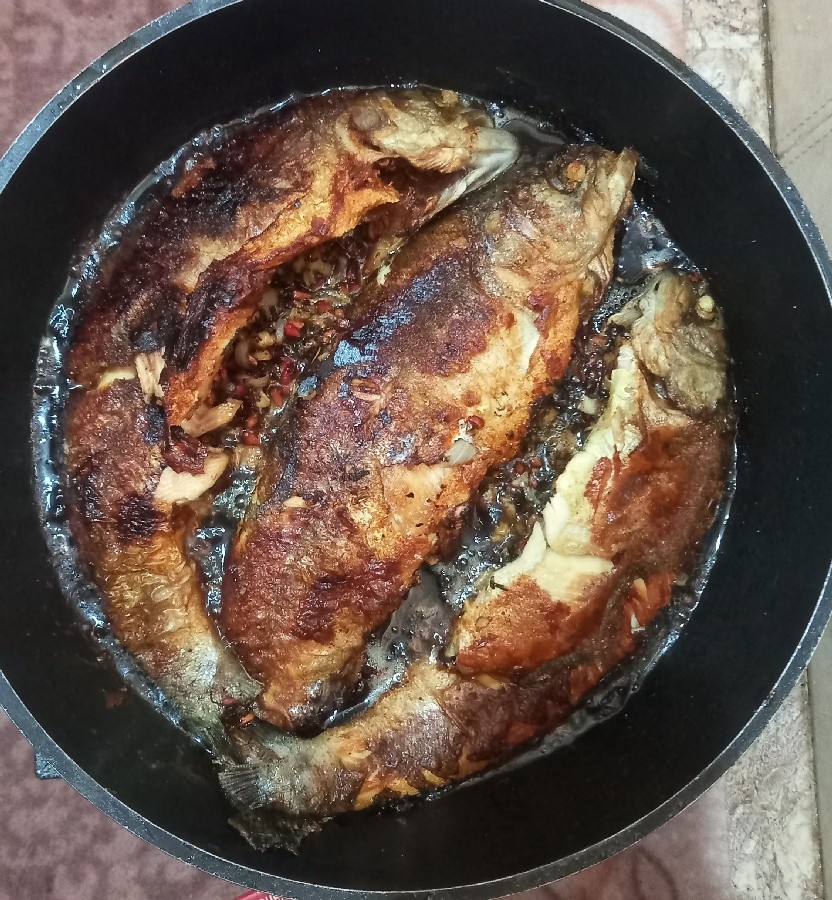 ماهی شکم پر شمالی