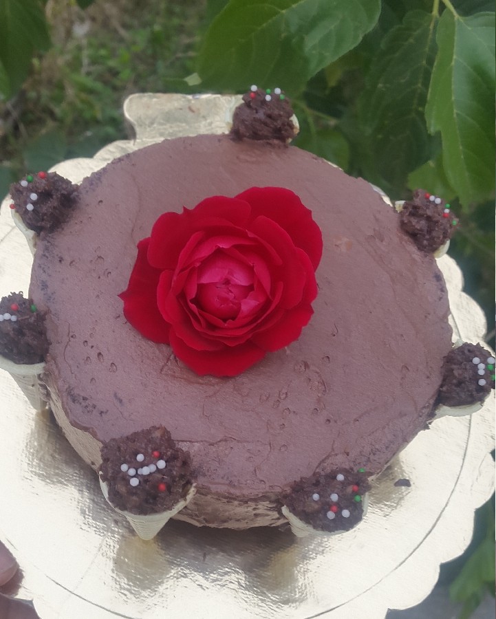 عکس کیک اسفنجی شکلاتی