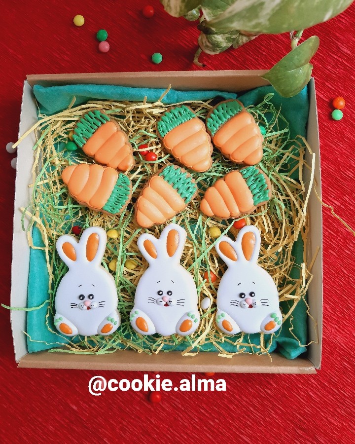 عکس پست ویژه هدیه، کوکی خرگوش و هویج