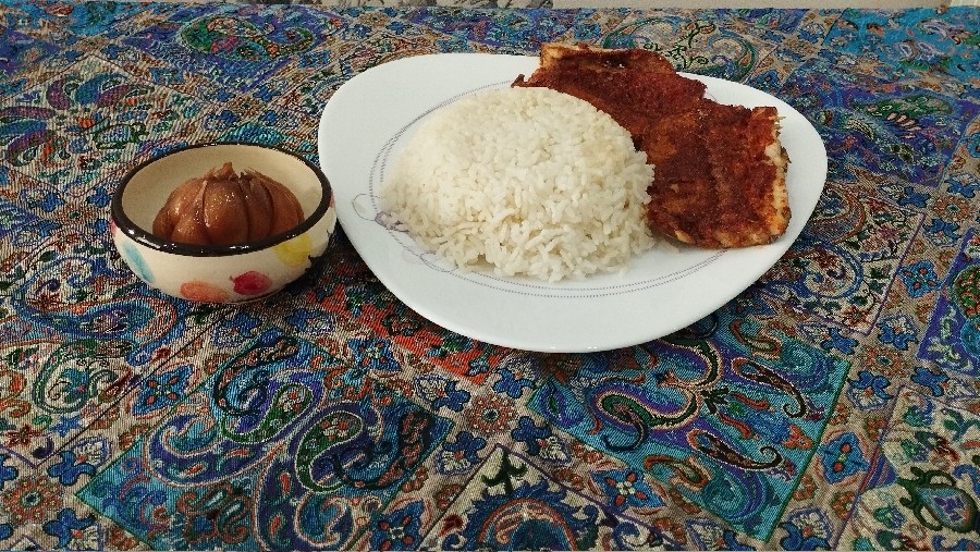 عکس کته و ماهی ساردین ❤️