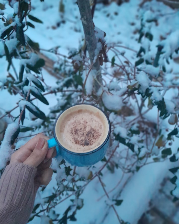 عکس روزمرگی