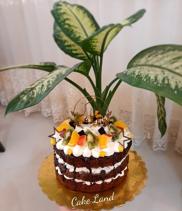 عکس کیک شکلاتی خوشمزه