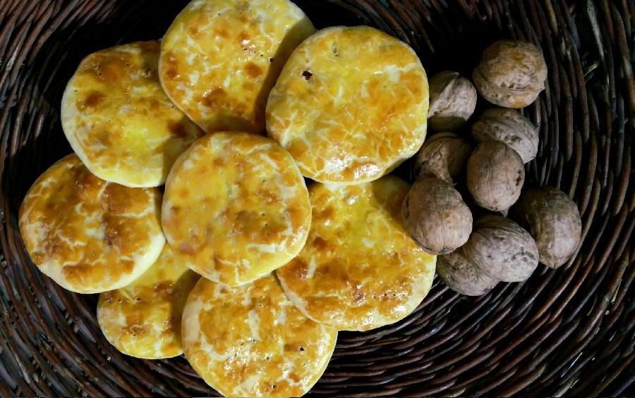 عکس گاتا گردویی