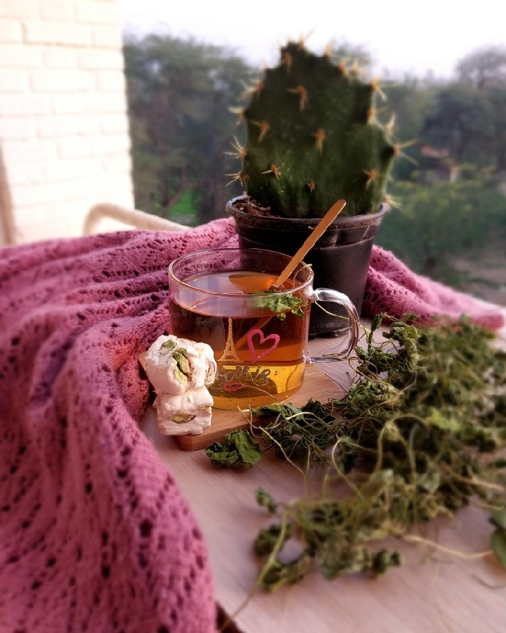 دمنوش پنیرک