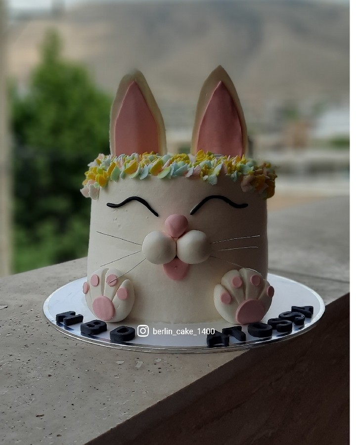 عکس کیک خرگوشی