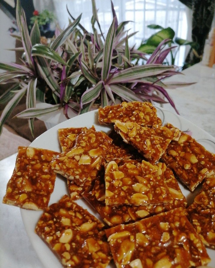 عکس روزمرگی