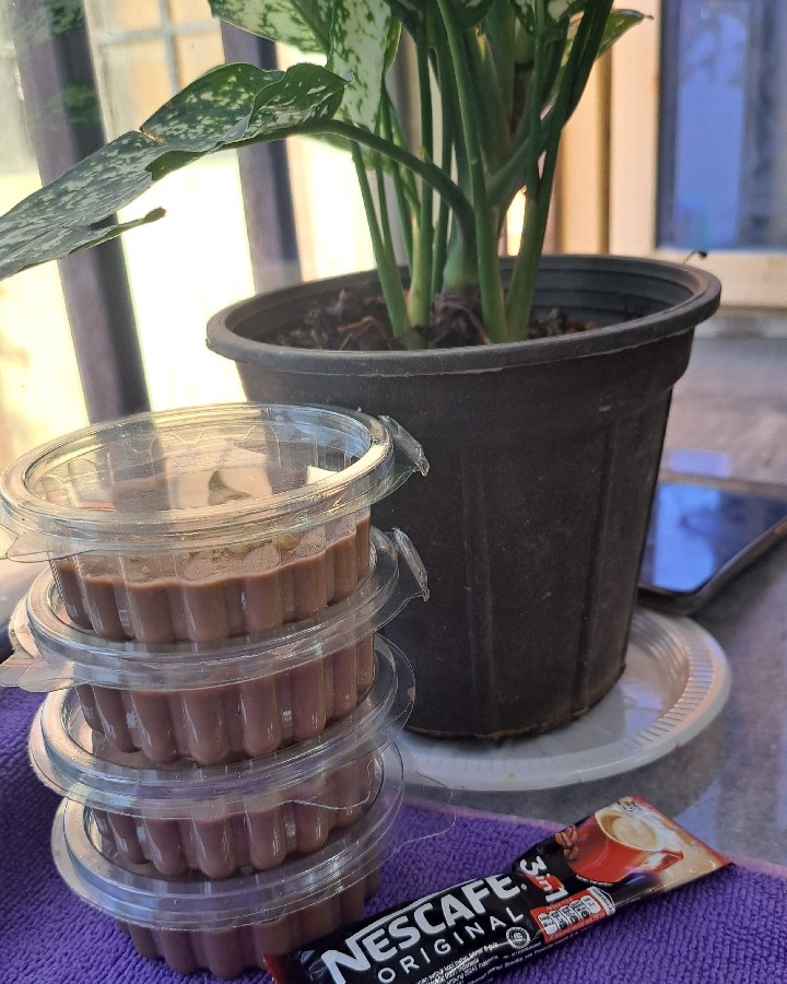 دسر سریع برای مهمان