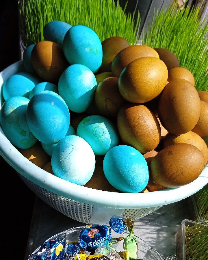 تخم مرغ رنگی 