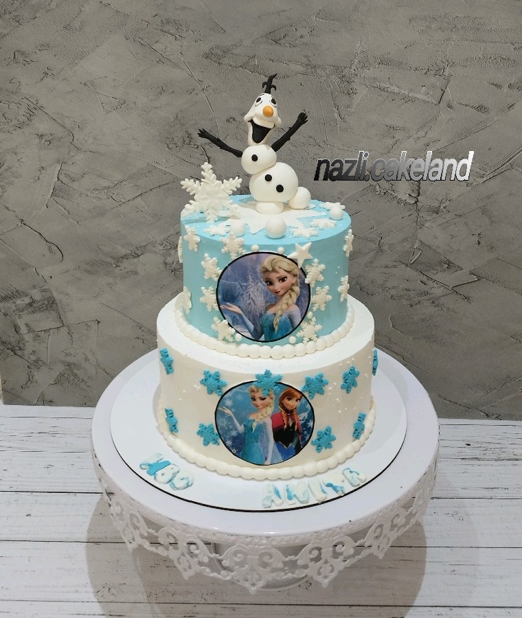 عکس کیک السا_آنا