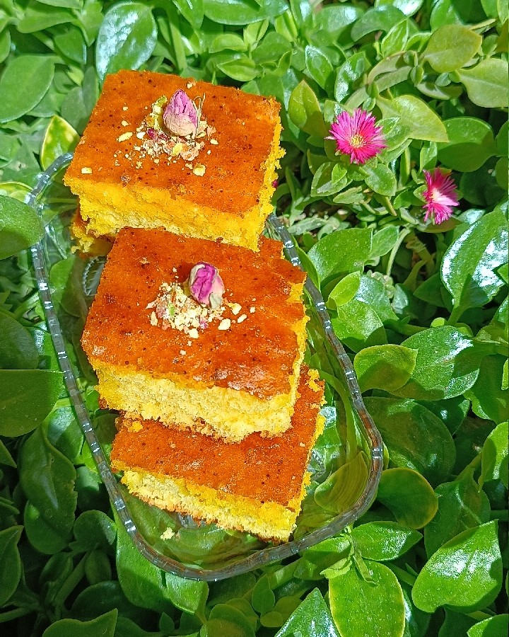 عکس کیک شربتی شیرازی
