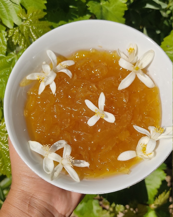 عکس مربای بهارنارنج