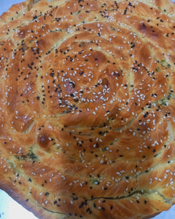 عکس بورگ ترکی
