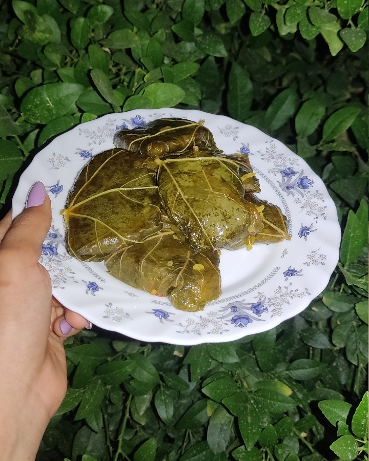 دلمه برگ مو?