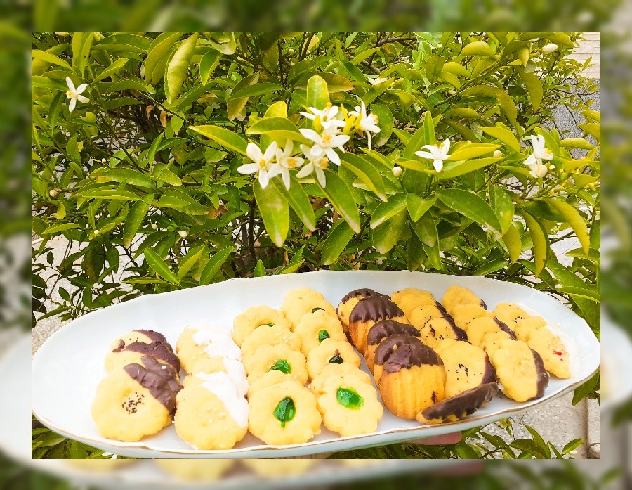 عکس شیرینی با خمیر کارگاهی (عیدتون مبارک عزیزانم❤)