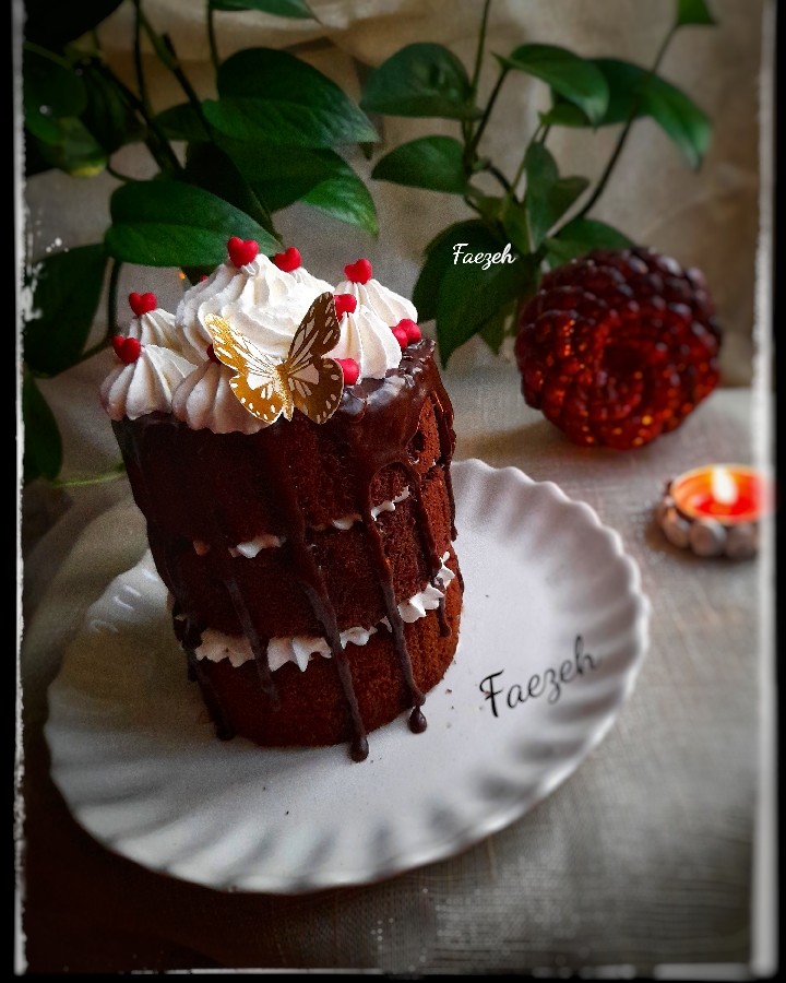 عکس کیک شیفون شکلاتی(ابری)