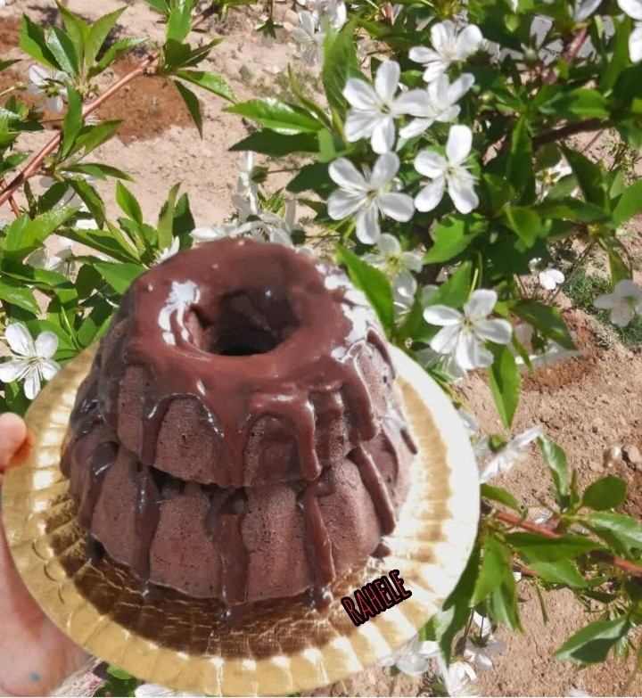 عکس کیک شکلاتی فوری(مسابقه سراسری عیدانه)