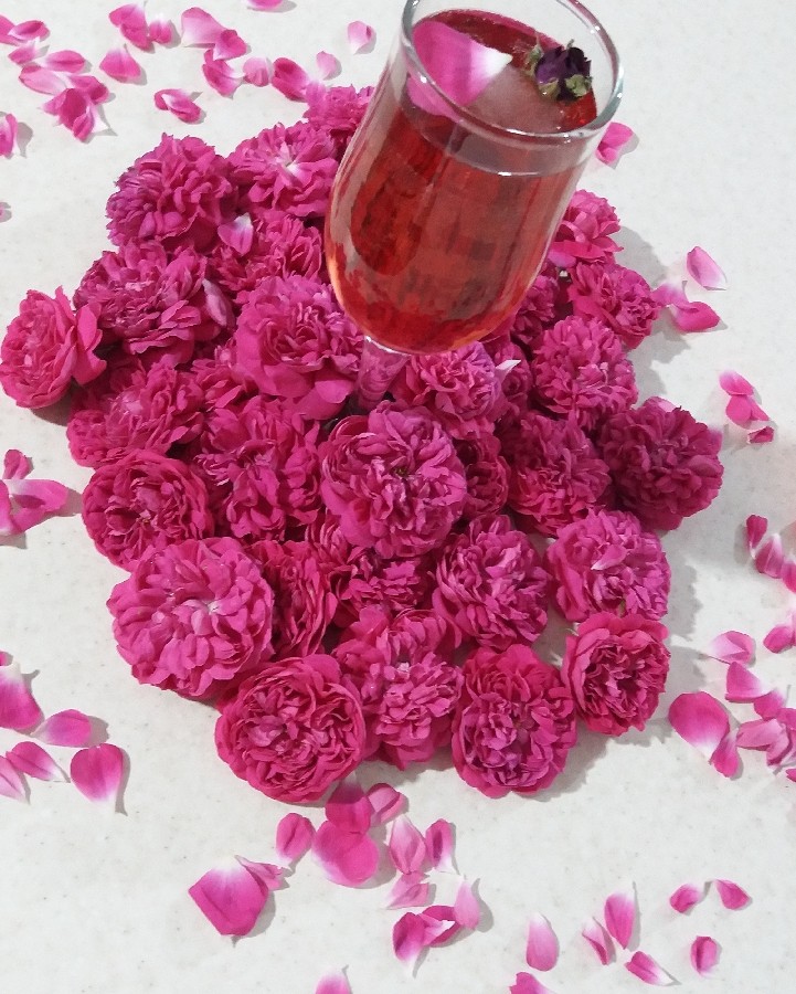 شربت گل سرخ